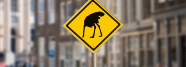 struisvogel-politiek.jpg